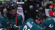 ice hockey lol GIF by NHL