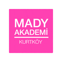 Istanbul Madydans Sticker by Mady
