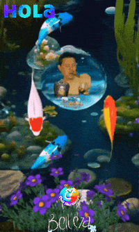 Foto Tequila GIF by Murcianys LLC