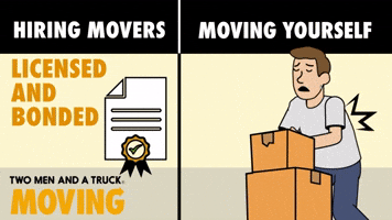 Moving yourself vs Hiring a Mover: Injury Risk