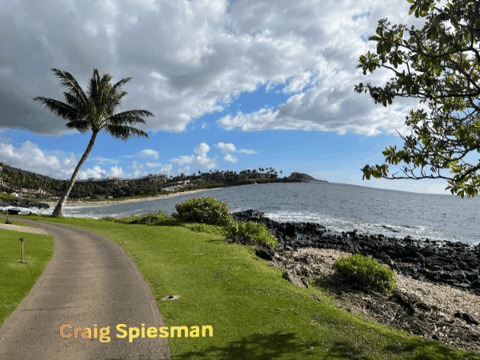 craigspiesman giphygifmaker GIF