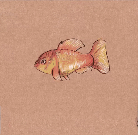 Fish Evolve GIF by sophiaqin