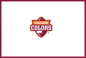 Hokies Collegecolorsday Sticker by Virginia Tech