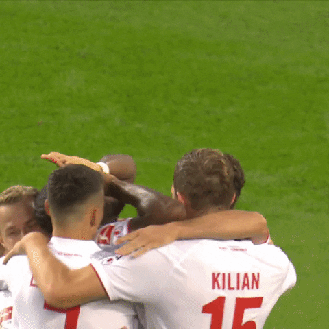 1 Fc Cologne Football GIF by 1. FC Köln