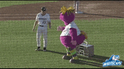 grand rapids dancing GIF by West Michigan Whitecaps 