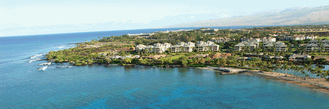 hawaii GIF