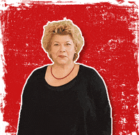 Kärnten Monkeymedia GIF by SPÖ Villach