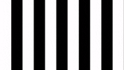 Celebration Goal GIF by SK Sturm Graz