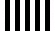 Soccer Celebration GIF by SK Sturm Graz