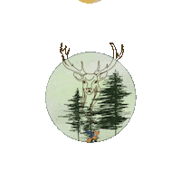 KotvickyPohody green sun fox family Sticker