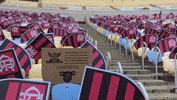 flamengo st nrn nacaocrf stfla GIF
