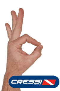 Dive Yes Sticker by Cressi1946