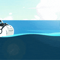 SecretSocietyOfWhales lets go ocean watch waiting GIF