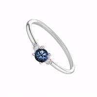 aristocrazy  GIF
