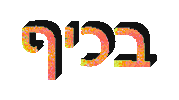 Fun Hebrew Sticker by Abi Bock