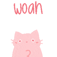 Cat Wow Sticker