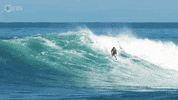 Climate Change Swimming GIF by PBS Digital Studios