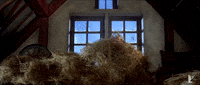 shahrukh khan bollywood GIF by bypriyashah