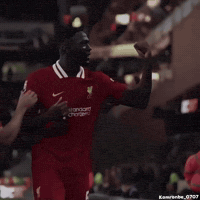 Real Madrid Fotball GIF