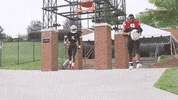 Excited Ls GIF by Mercer Bears