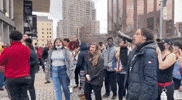 Patrick GIF by GIPHY News
