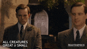 Help Me Wedding GIF by MASTERPIECE | PBS