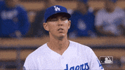 Los Angeles Dodgers No GIF by MLB