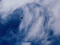 You Can Wow GIF by FranchiseONE.de