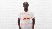 Rb Leipzig Applause GIF by Bundesliga