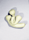 Libe Tumitonnes Courgettes GIF by Liberation.fr