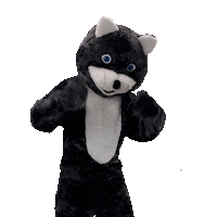 Aracaju Sergipe Sticker by Kitty Lima