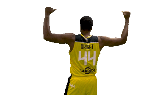 Basketball Celebration Sticker by Stade Rochelais