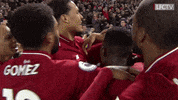happy premier league GIF by Liverpool FC