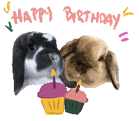 Happy Birthday Sticker