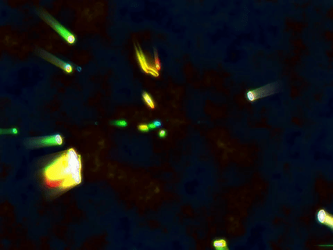 MFDtheArtist giphyupload dance art trippy GIF