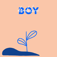 pogpals illustration kawaii flower boy GIF