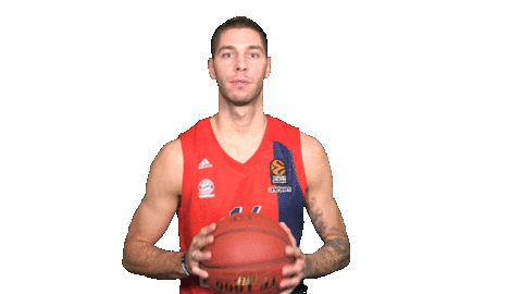 stefan jovic lol Sticker by FC Bayern Basketball