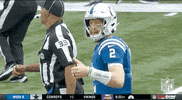 Indianapolis Colts Football GIF by NFL