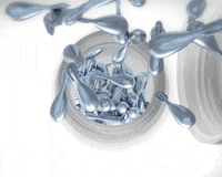 GIF by Nu Skin