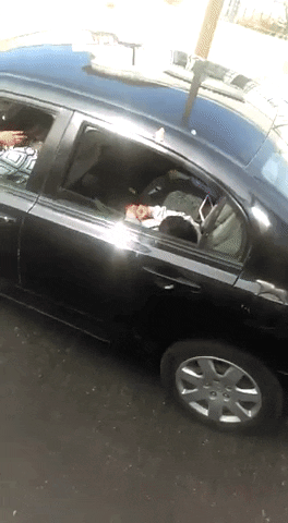incorretos giphyupload funny gif video GIF