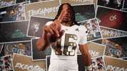 Georgia Tech Football GIF by Georgia Tech Yellow Jackets