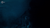 Sea Monster GIF by PBS Digital Studios
