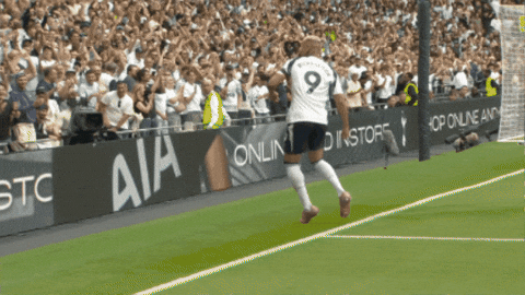 Happy Celebration GIF by Tottenham Hotspur
