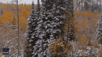 Colors of Fall and Winter Collide as Snow Comes to Utah's Big Cottonwood Canyon