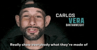 Episode 11 Mma GIF by UFC