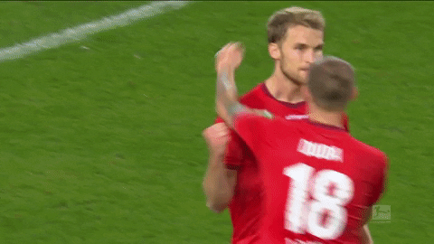 1 Fc Cologne Football GIF by 1. FC Köln