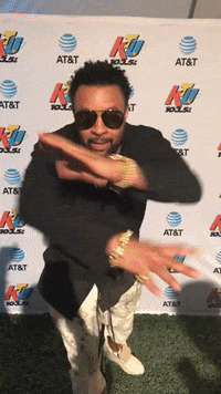 shaggy GIF by 103.5 KTU