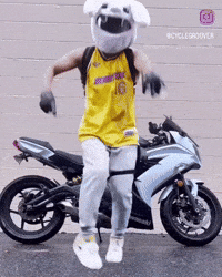 Thumper Groover GIF