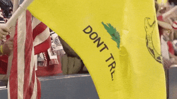 us soccer GIF by The American Outlaws