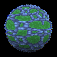 Game Space GIF by Aleksey Efremov